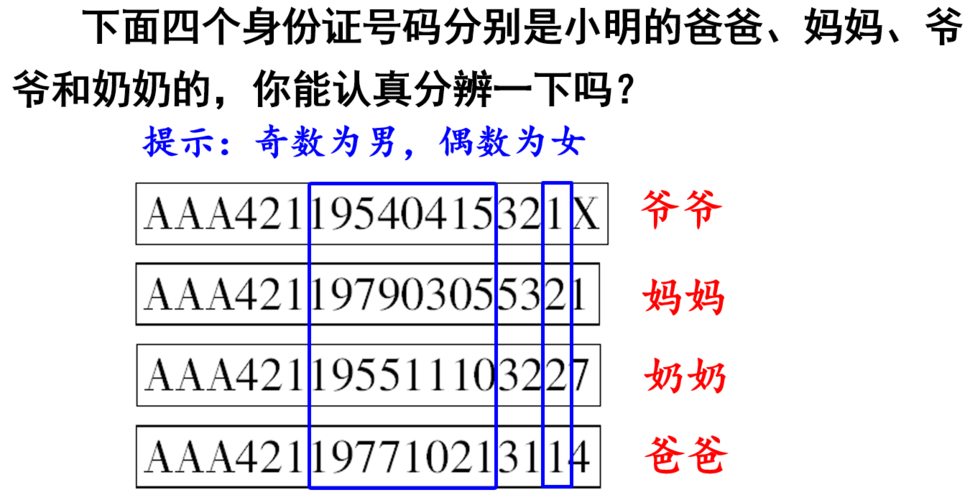 电话域名查询，了解你的数字身份