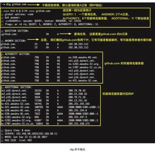 关于广州市DNS的详细内容