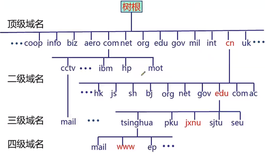 域名查询详解