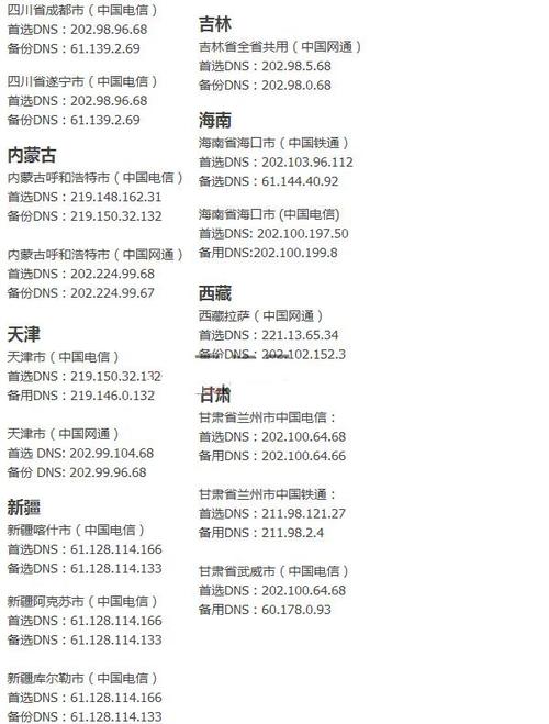 上海DNS地址查询及使用指南