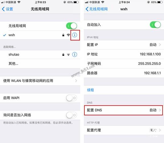 详细解析，iOS设备上的DNS设置