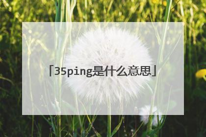 35ping等于多少秒