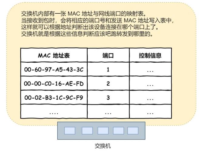 关于连云港的DNS地址，这是一个涉及计算机网络和互联网连接的重要话题。本文将深入探讨连云港地区的DNS服务器地址，并尝试提供详尽的信息和实用建议。