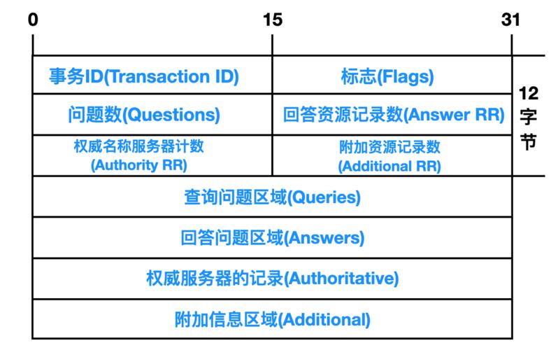 dns通知