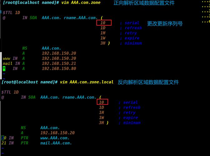 反向域名查询语句