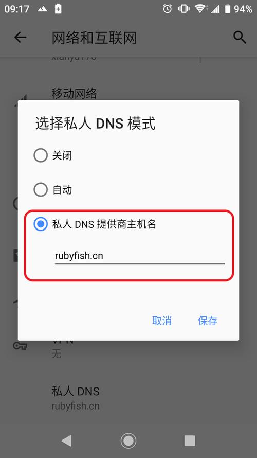 在安卓设备上更改DNS（域名系统）设置是提升网络浏览速度、绕过地域限制及增强网络安全的有效方法。本文将详细介绍在安卓设备上如何更改WiFi和移动数据下的DNS设置，并解析相关操作步骤。