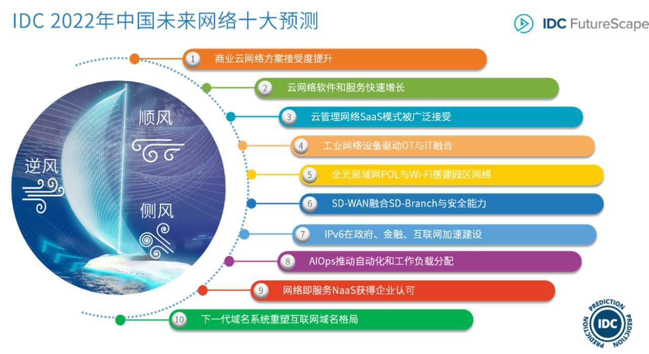 如何高效获取域名信息，探索互联网必备的域名查询工具及使用方法？