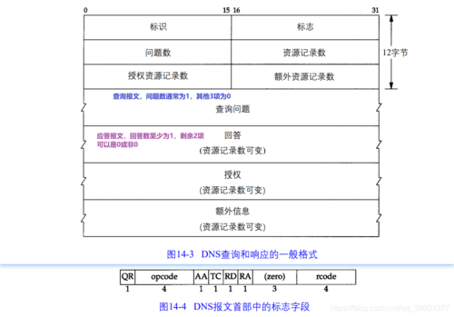 DNS土豆详解