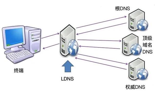 DNS分光技术及其应用