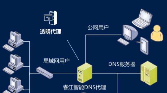 DNS国际版简介