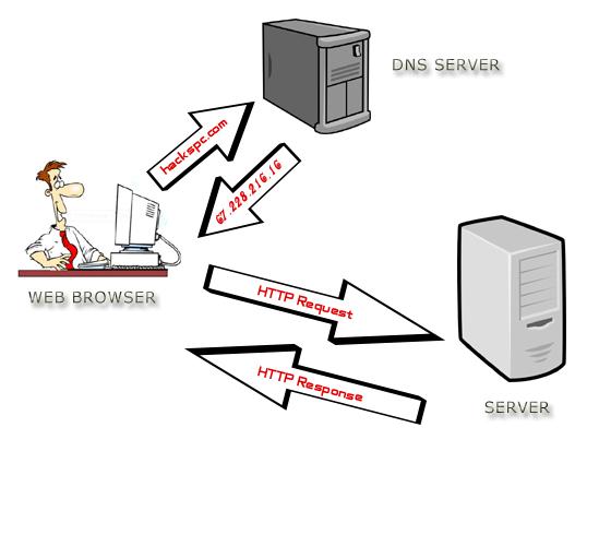 在日益增长的网络需求中，DNS（Domain Name System）扮演着极其重要的角色。它将人们便于记忆的域名转换为电脑可识别的IP地址，使得网络访问成为可能。手动设置DNS不仅有助于解决一些特定的网络问题，例如访问某些网站时的延迟或无法访问，还能提高网络冲浪的隐私保护。下面将详细介绍如何在常见操作系统中手动设置DNS，确保网络连接的最优化。