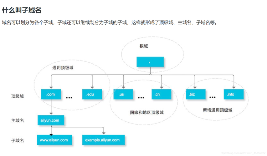 域名关联查询指南