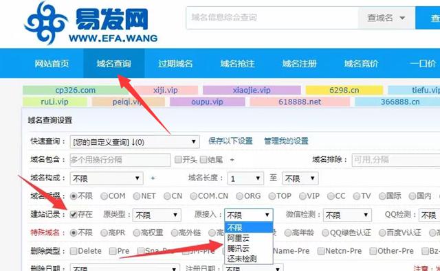 工信部域名查询系统指南