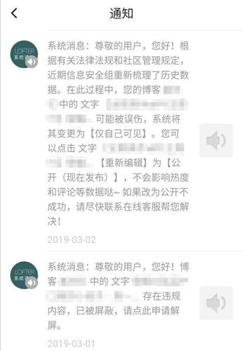 被墙查询，了解和应对网络审查