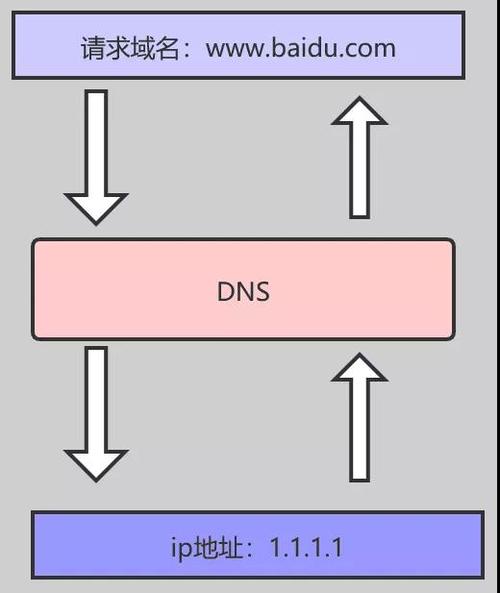 域名DNS查询完全指南