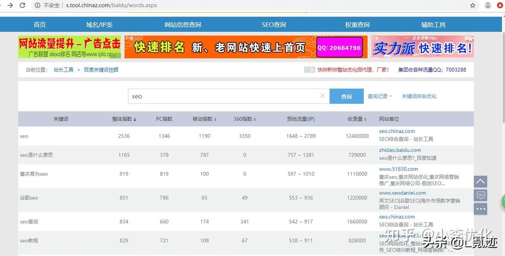 站长查询工具，网站管理与优化的必备助手