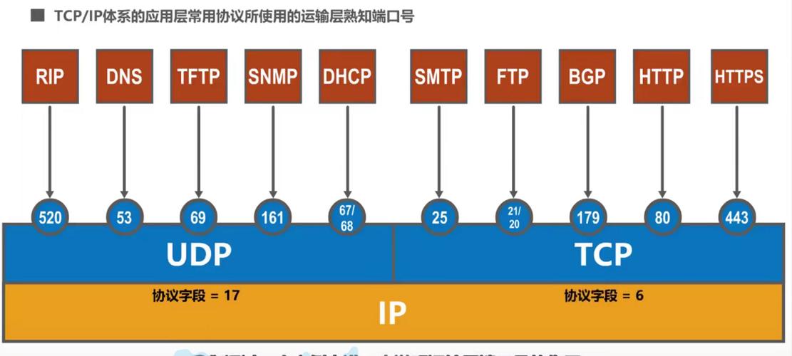 DNS端口