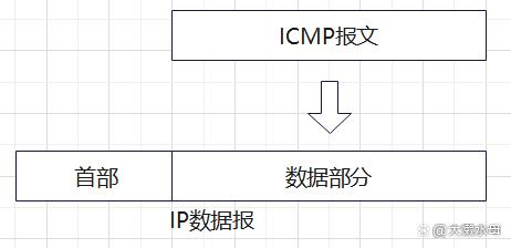 ping命令的工作原理