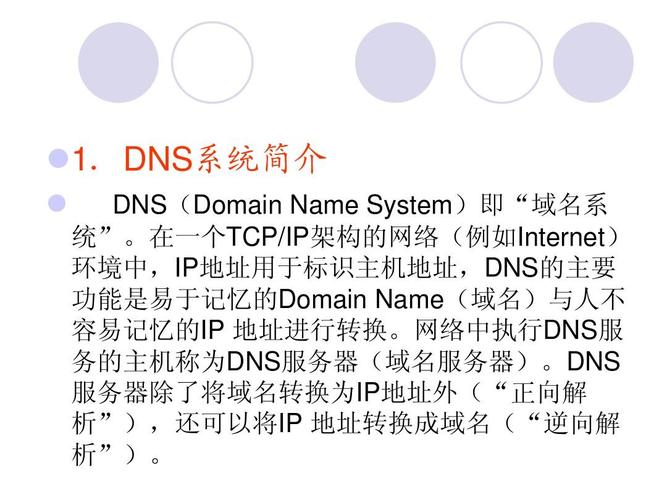 体育比赛中的DNS是什么意思？