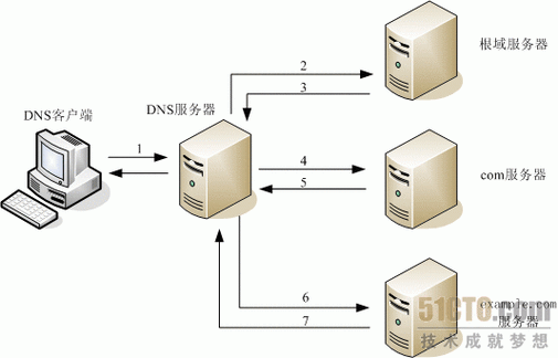 查询dns