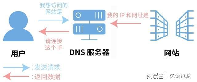 网易dns