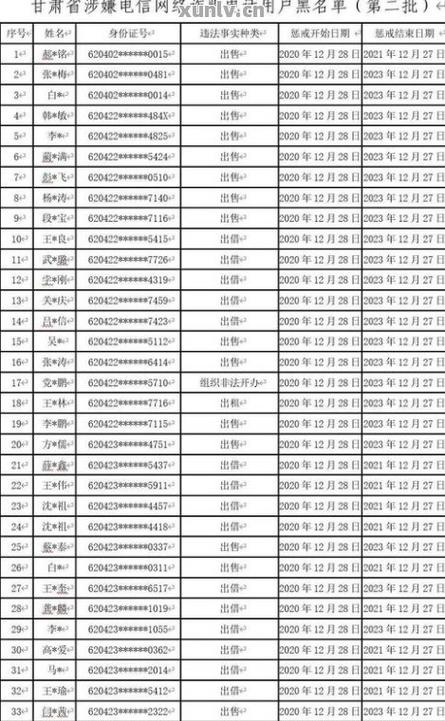 网黑查询，了解网络黑名单及其影响