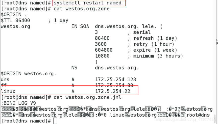 Linux设置DNS的详细内容