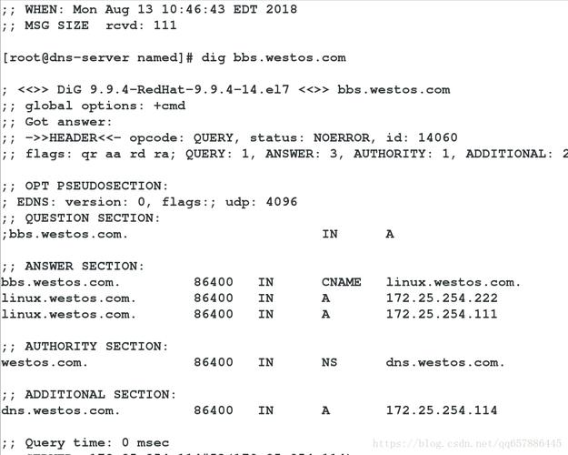 Linux设置DNS的详细内容