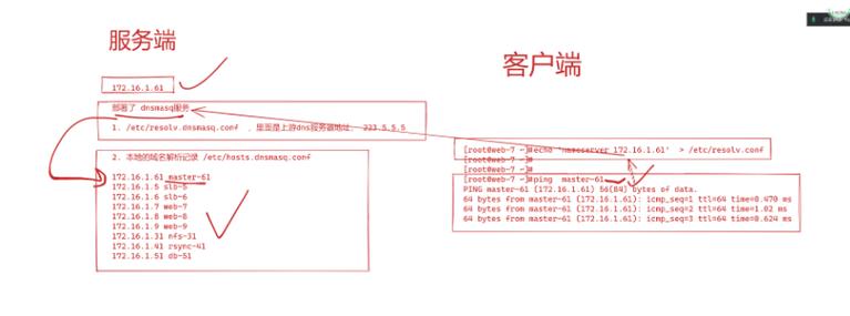 查看DNS命令的详细内容