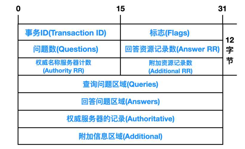 DNS报文是域名系统（Domain Name System）中用于在客户端和服务器之间传输查询请求和响应的重要数据结构。DNS报文的格式和内容对于理解域名解析过程至关重要。以下是对DNS报文的详细介绍