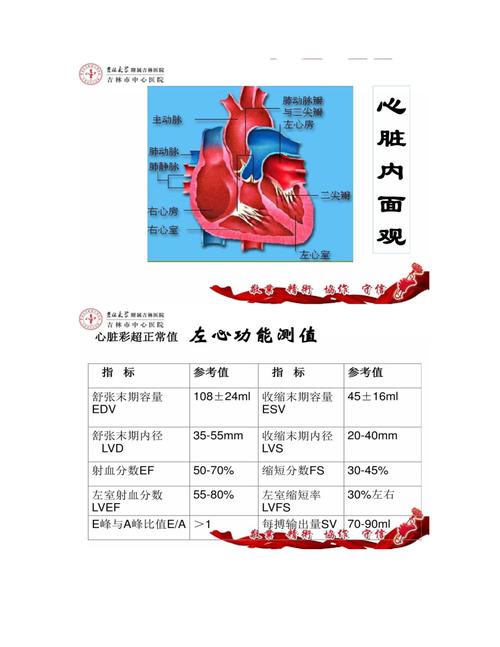 一、正常范围