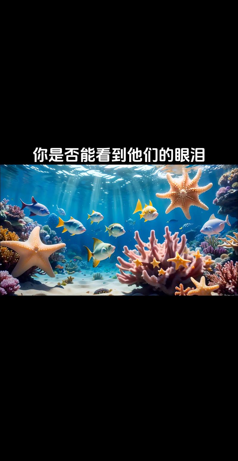 在互联网的浩瀚海洋中，域名如同灯塔，指引着用户前往特定的网站。了解域名的含义，不仅有助于我们更好地管理和使用这些数字地址，还能让我们在选择和注册域名时更加得心应手。以下是对域名含义的详细解析