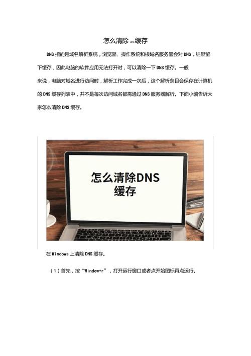 DNS清除的详细内容