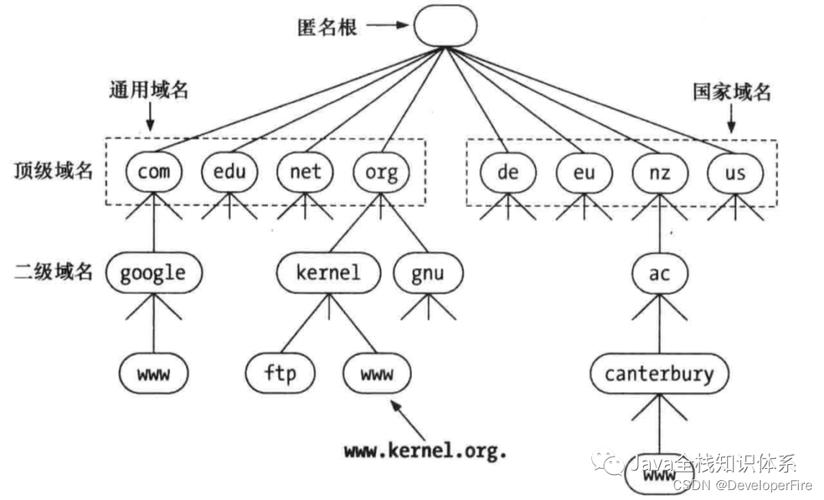 DNS 解析查询的详细介绍