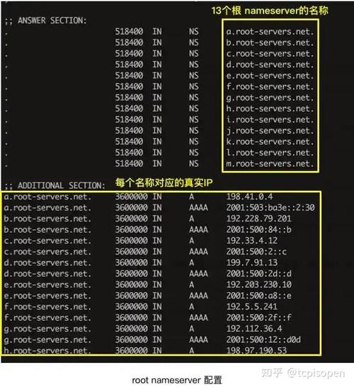 DNS 解析查询的详细介绍