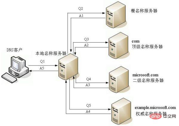 体育DNS是什么意思