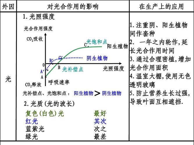 ping值的稳定性及其影响因素