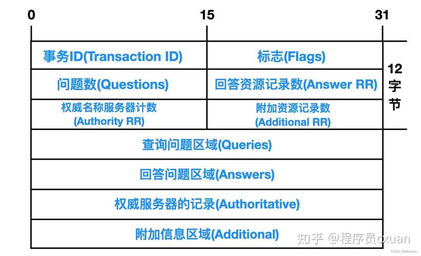 DNS解析记录查询