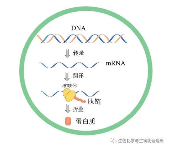 CFPS与Ping的关系