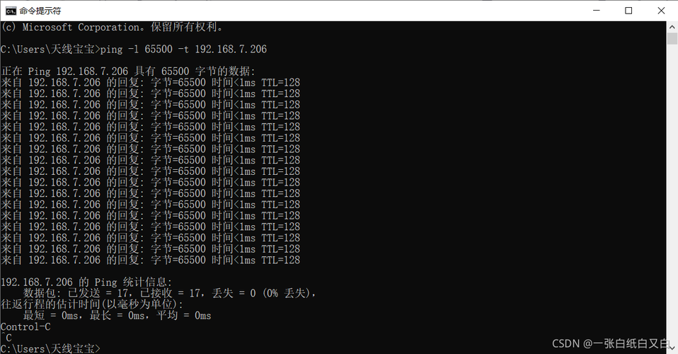 ping l 正常值分析