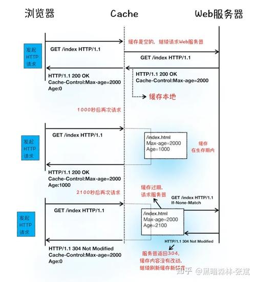 DNS缓存的详细内容