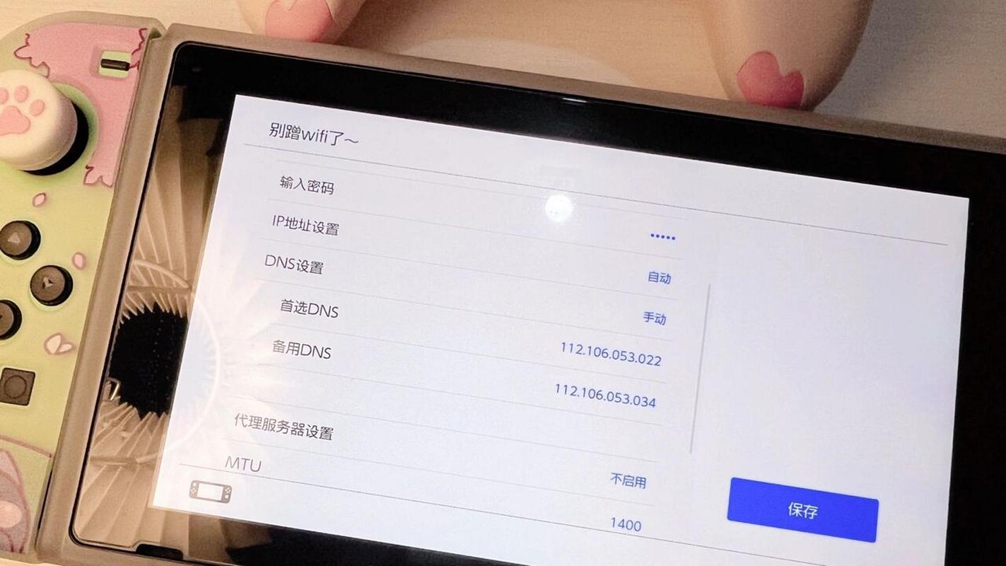 Switch DNS设置指南