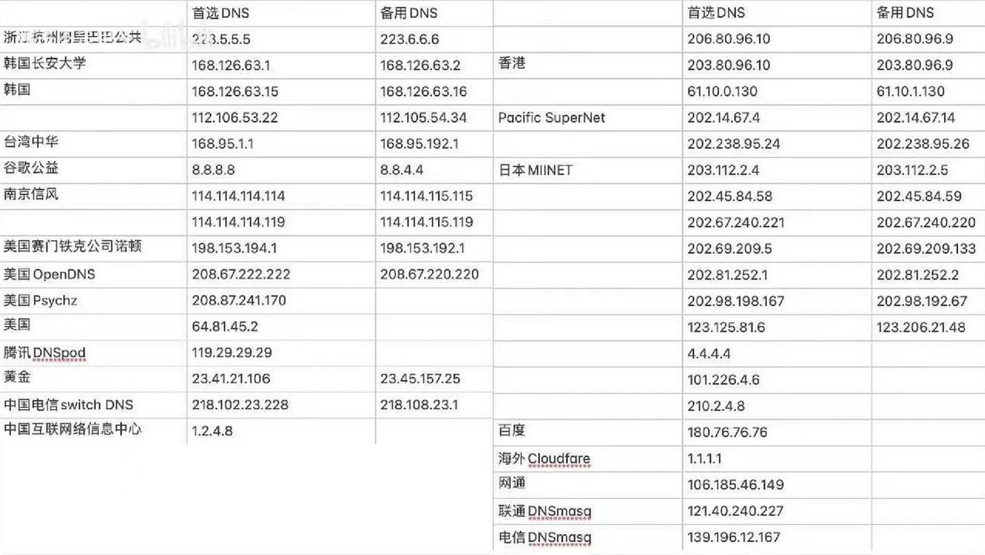 Switch DNS设置指南