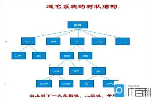 DNS 简介