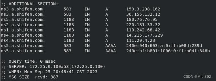 DNS 简介