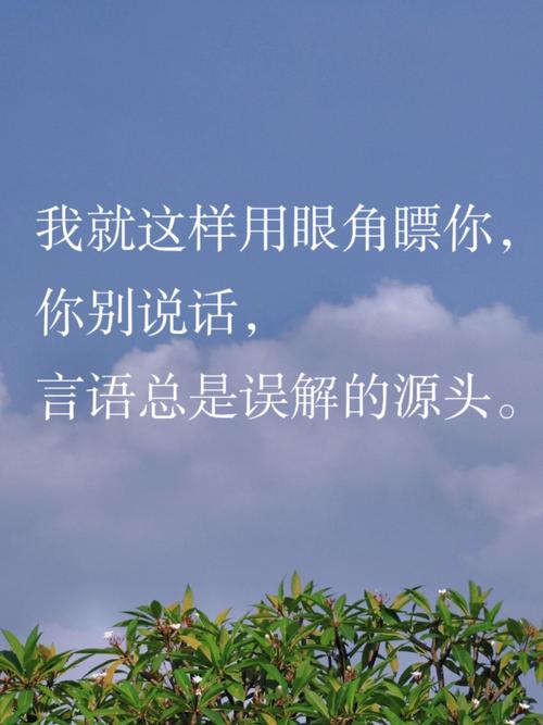 Ping值，即数据包从源头到目的地再返回所需的时间，通常以毫秒（ms）为单位。它是衡量网络延迟和稳定性的重要指标，对于在线游戏、实时视频会议等对网络质量要求较高的应用尤为重要。