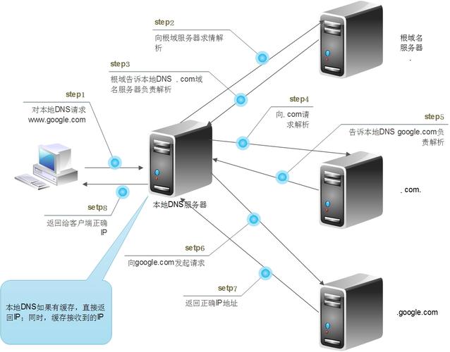 DNS 基本