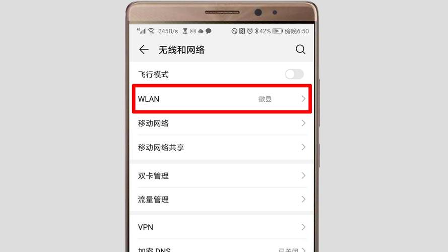 iPhone DNS设置详解