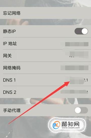 WiFi 设置 DNS