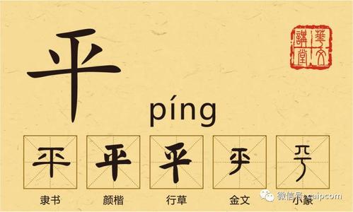 什么是Ping